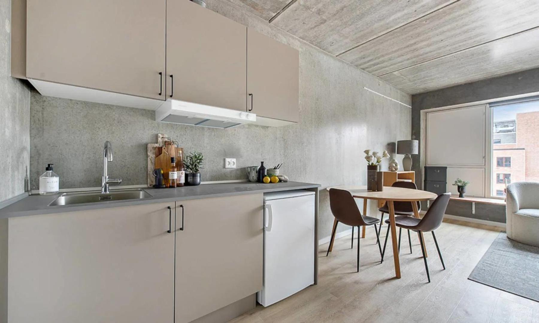 Leilighet Tastefull And Modern København